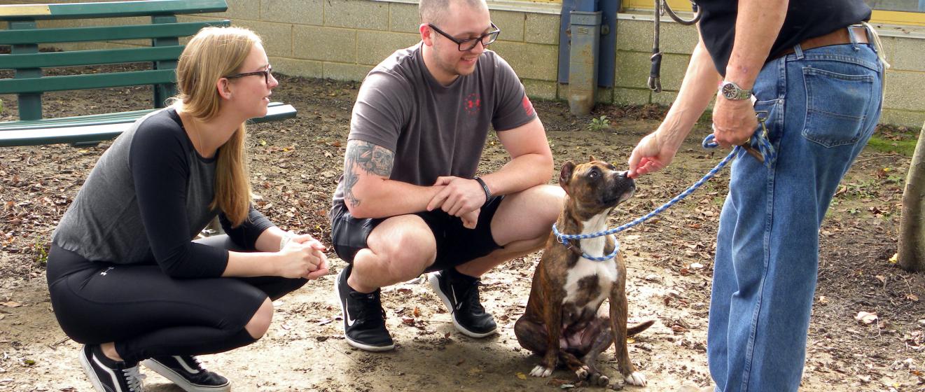 Adoption Process & Fees
